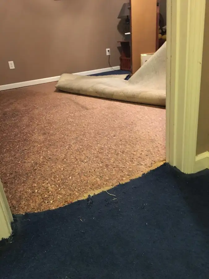 Carpet pad removal revealing water damage during Drying & Dehumidification in Wallkill
